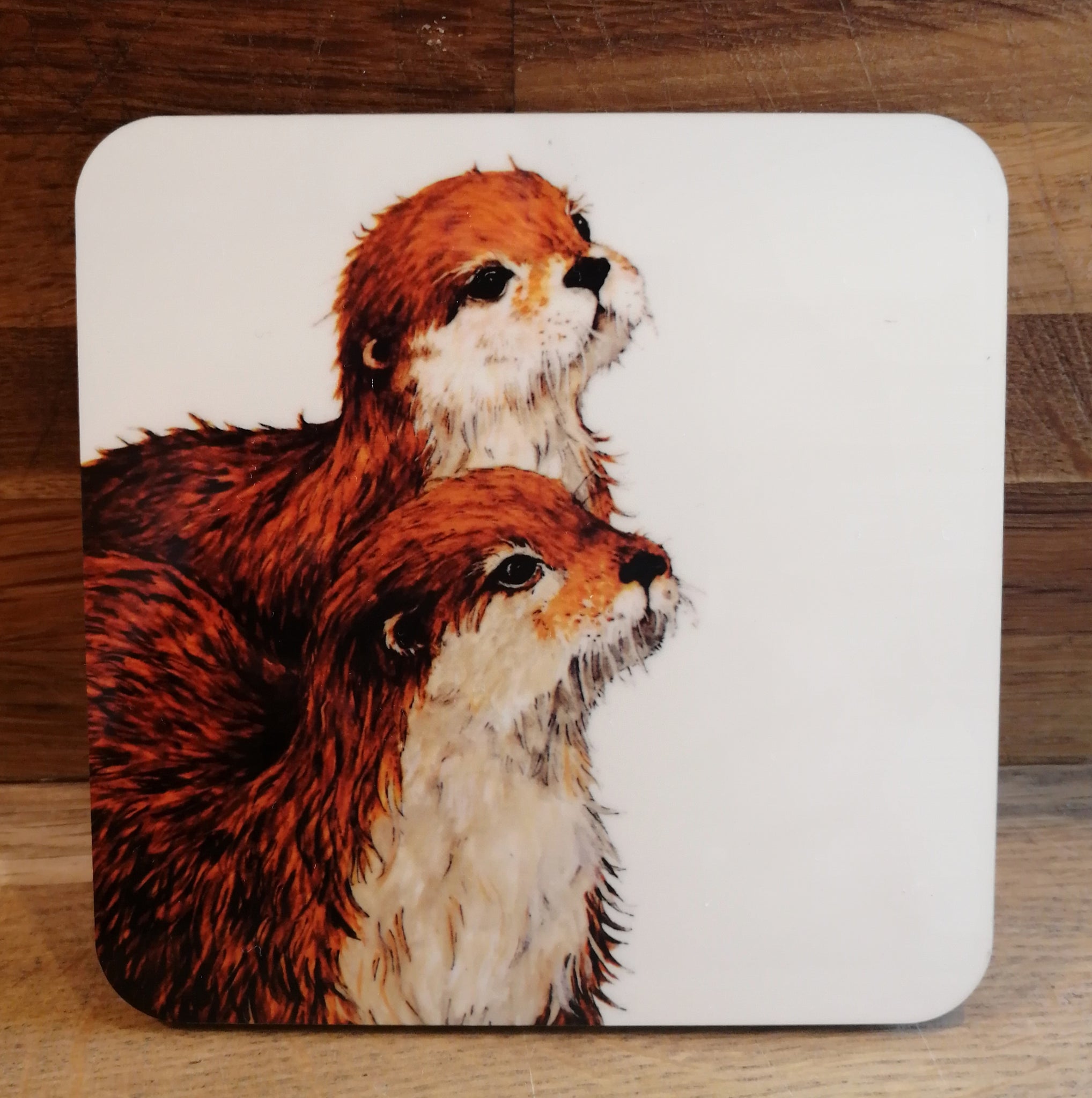 Too Cute Otters. Smiley Coaster.
