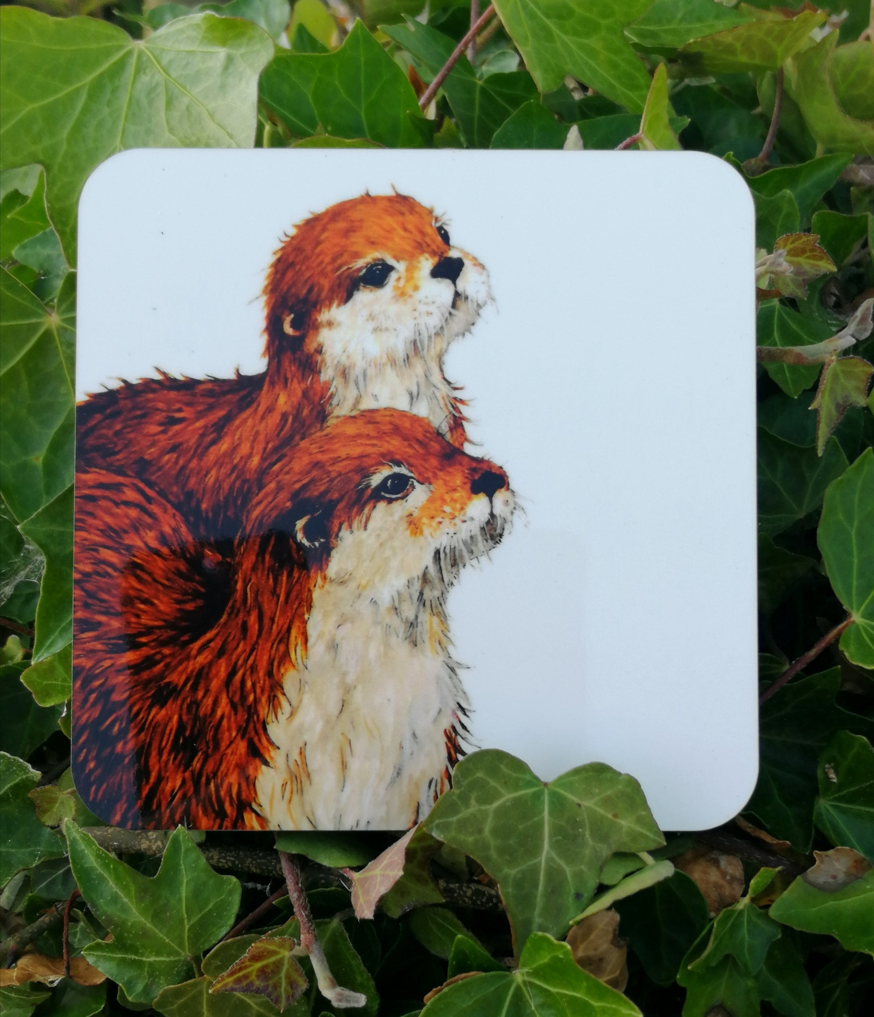 Too Cute Otters. Smiley Coaster.