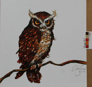 Hooty Greetings card