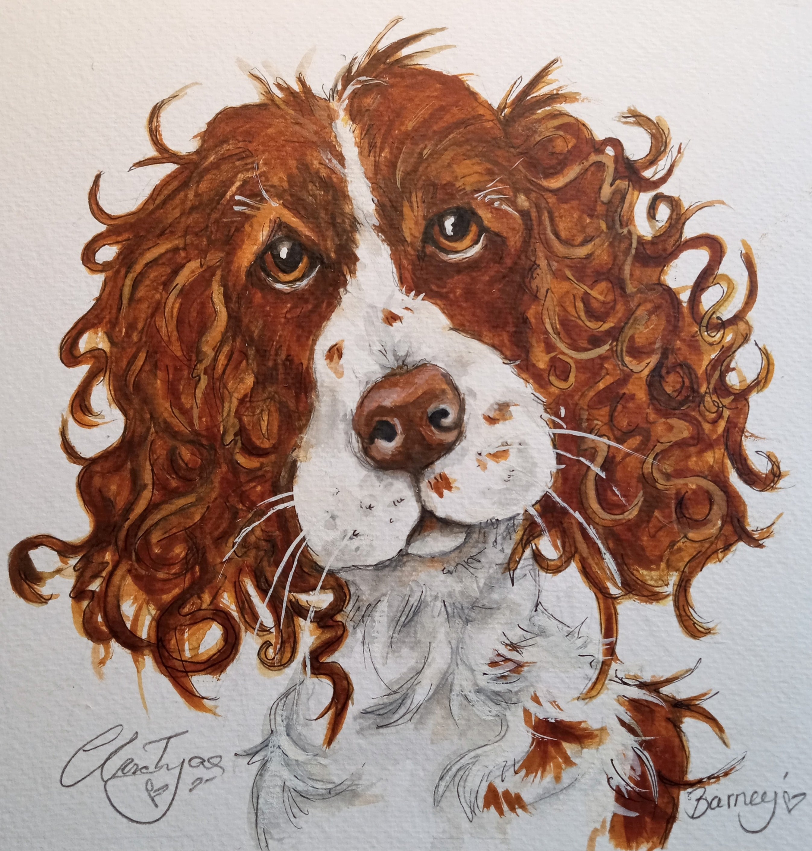 Barney .Original watercolour signed and framed.