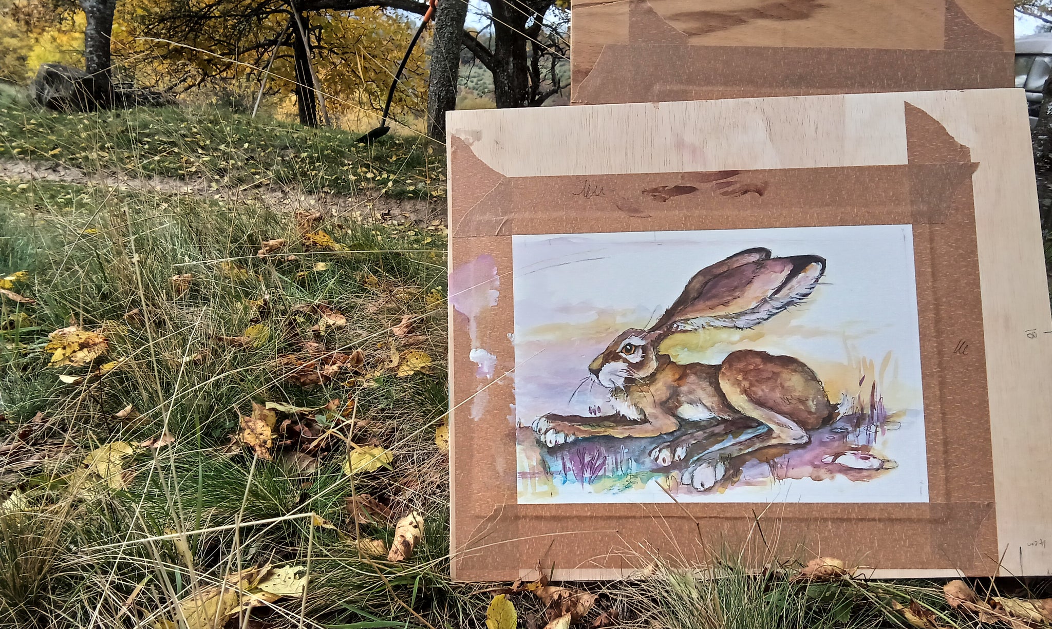 Damson.Original watercolour signed mounted.