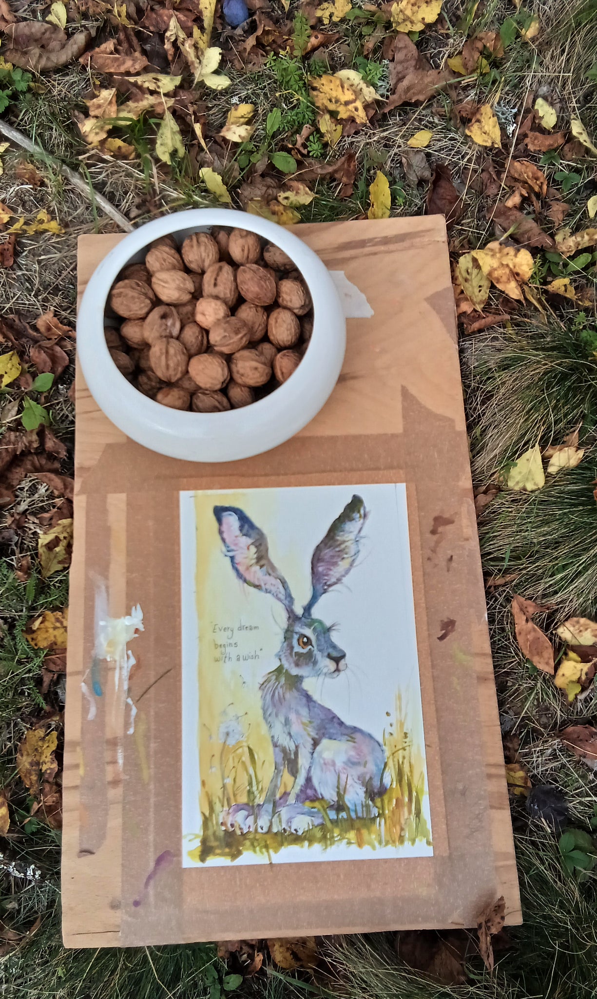 Dandelion.Original watercolour signed mounted.