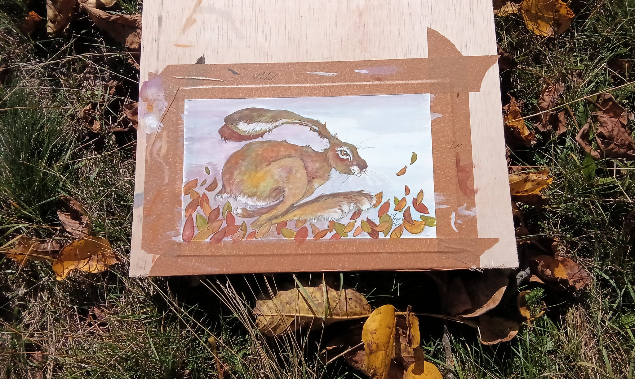 Walnut. Original watercolour signed mounted.