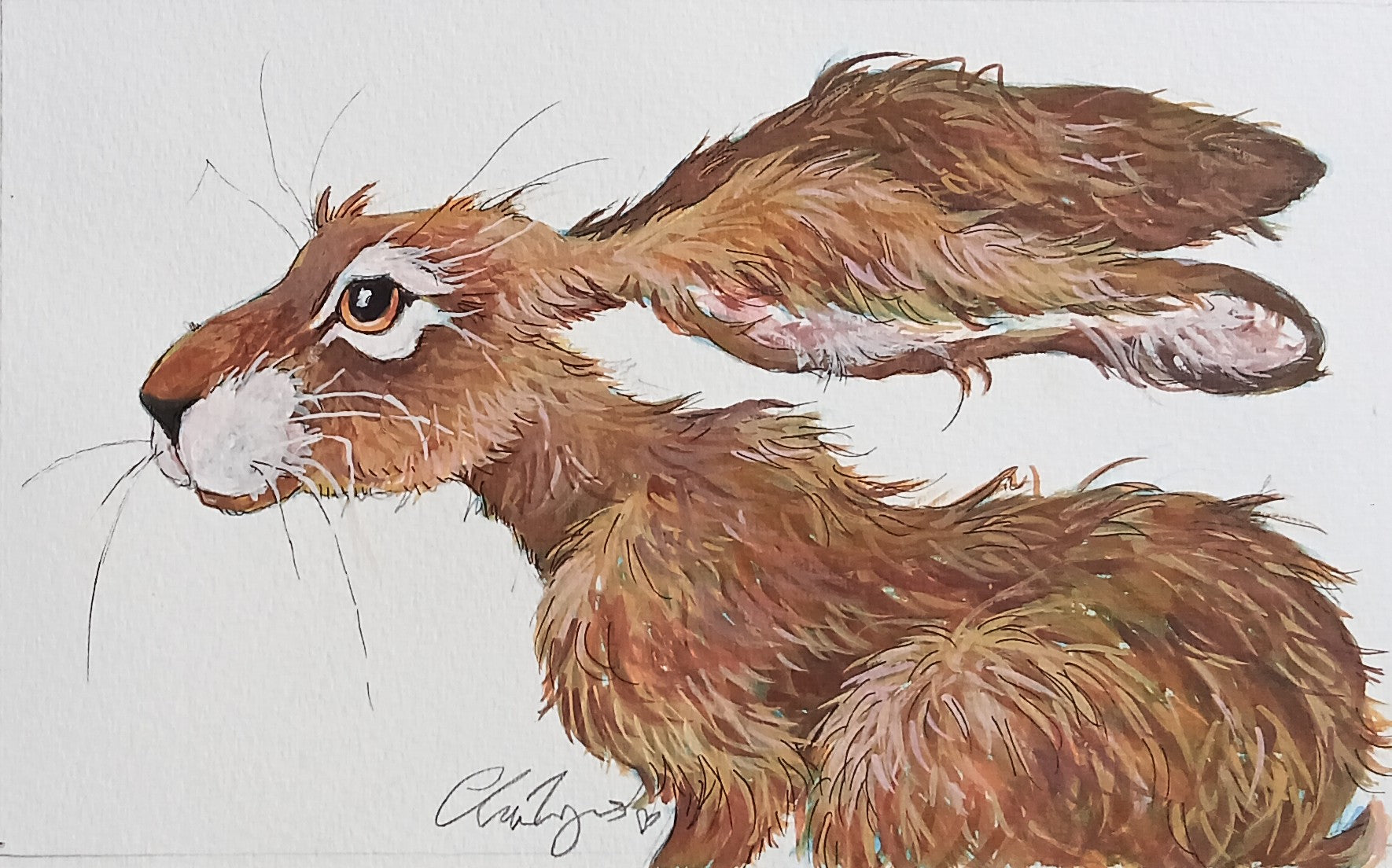 Bella. Original watercolour signed mounted.