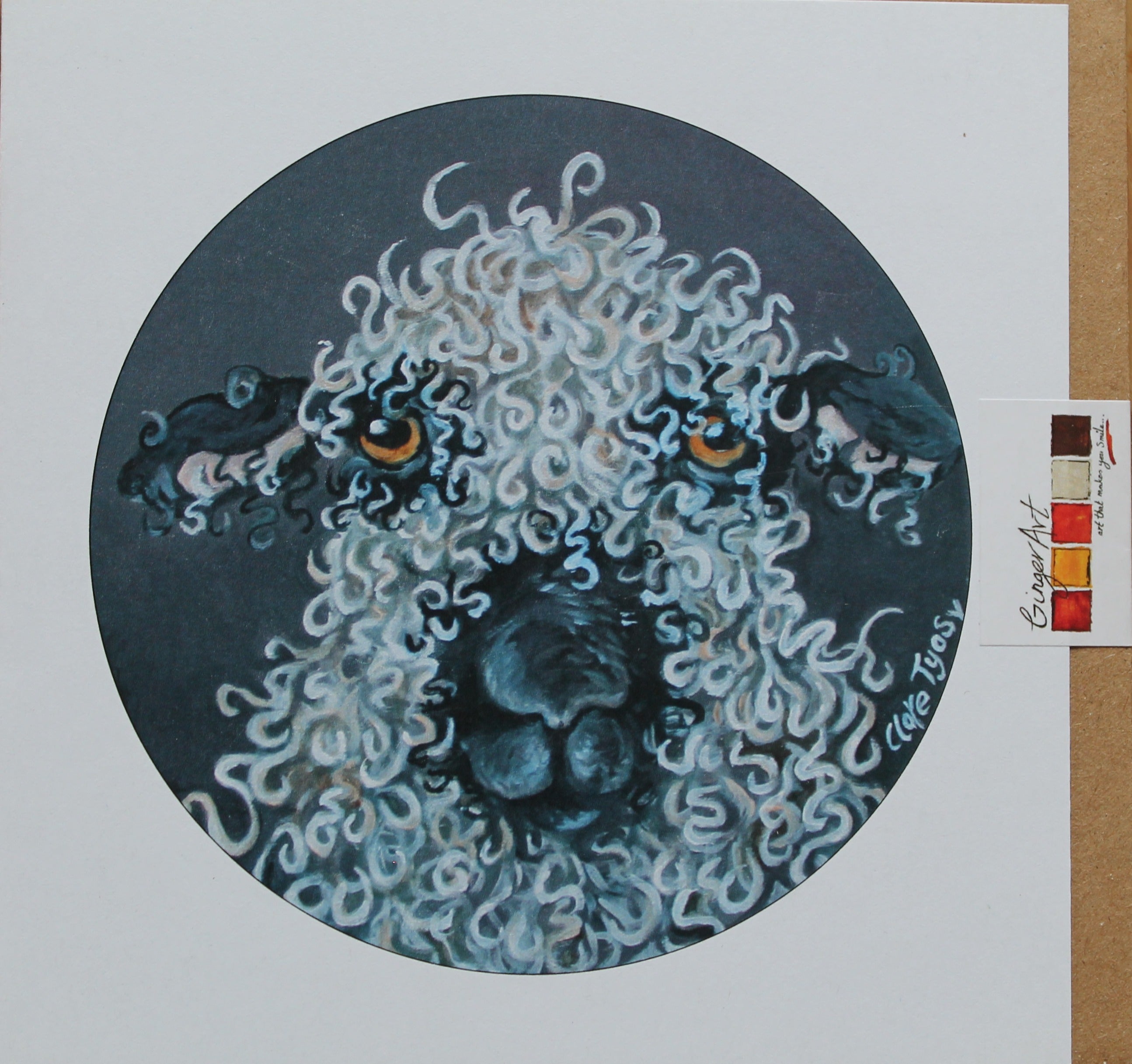 Socks Greetings card