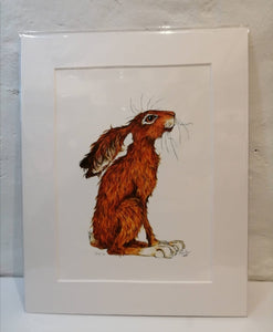 "Dusty" Hare - A3 mounted prints available, printed on 315g acid free paper and dispatched in a sturdy cardboard backed envelope by tracked delivery.
