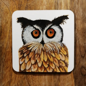 Cyril the Owl Coaster