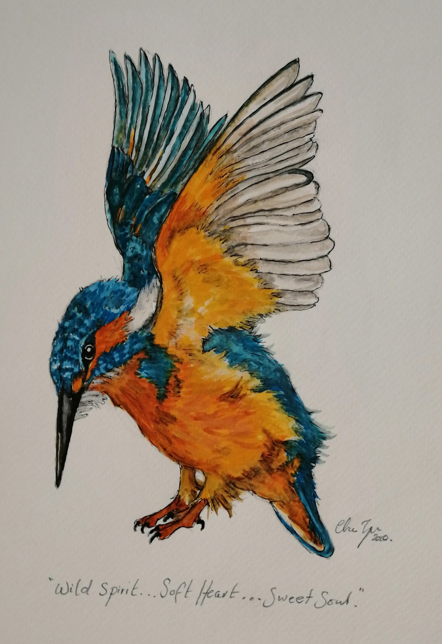 Cute kingfisher in sketch style the bird sits Vector Image