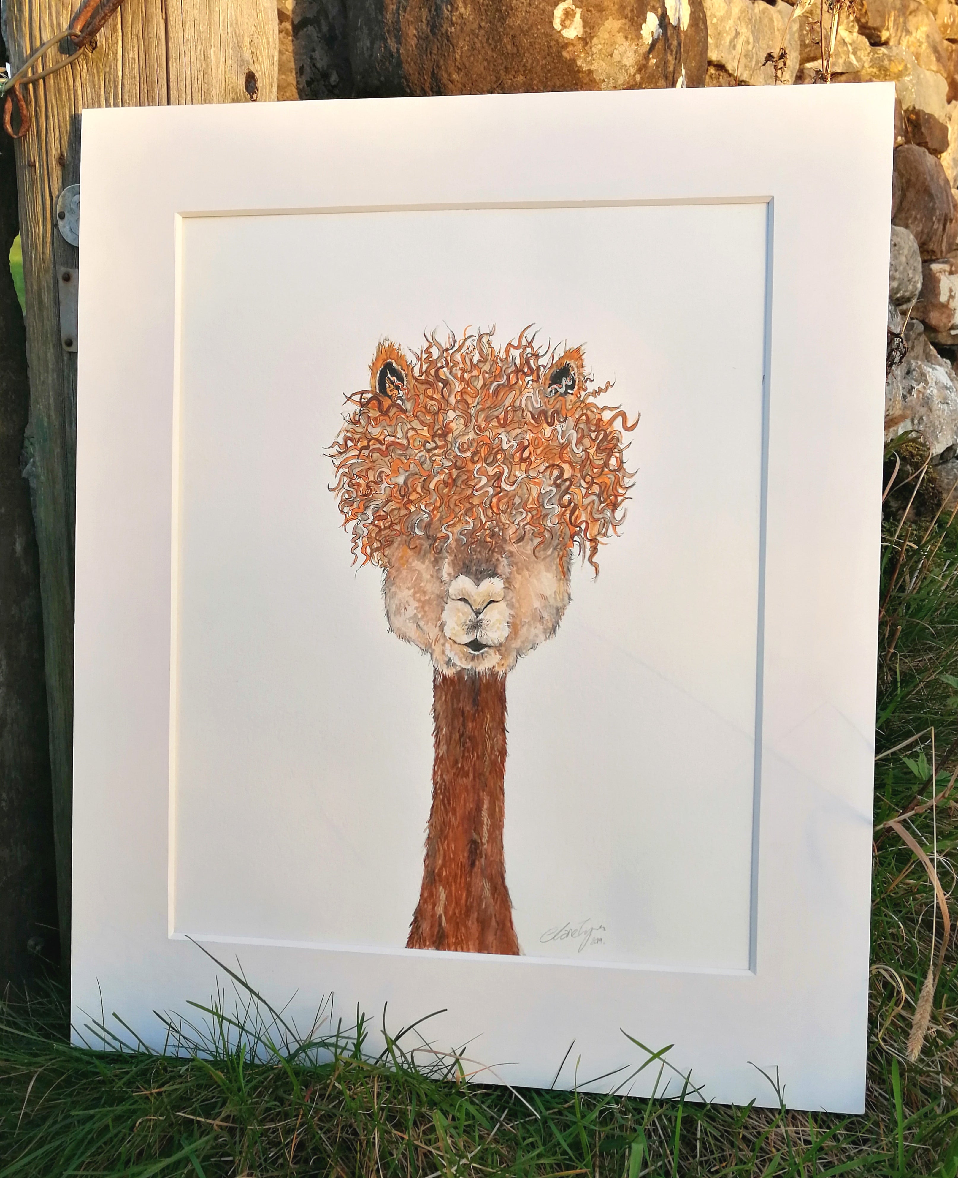 Brianna. The Alpaca.  A4 limited edition signed print.