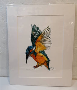 "Monica" Kingfisher - A4 mounted prints available, printed on 315g acid free paper and dispatched in a sturdy cardboard backed envelope by tracked delivery.