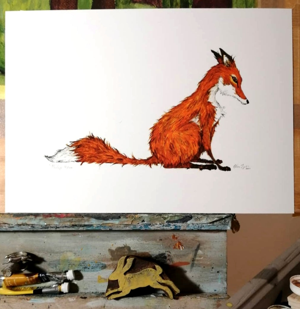 "Gentle Lad" Fox - A3 mounted prints available, printed on 315g acid free paper  and dispatched in a sturdy cardboard  tube by tracked delivery.
